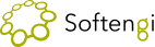 Softengi
